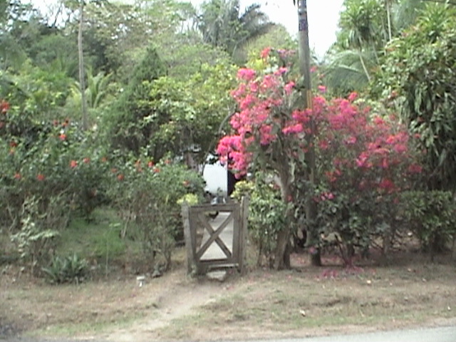 Costa Rica 020.jpg